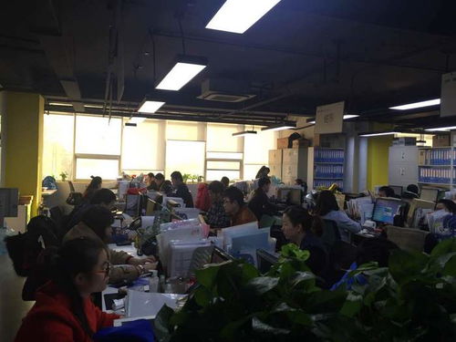 專業(yè)商務(wù)談判口譯，譯銘翻譯 為企業(yè)國際化進(jìn)程注入精準(zhǔn)溝通動力